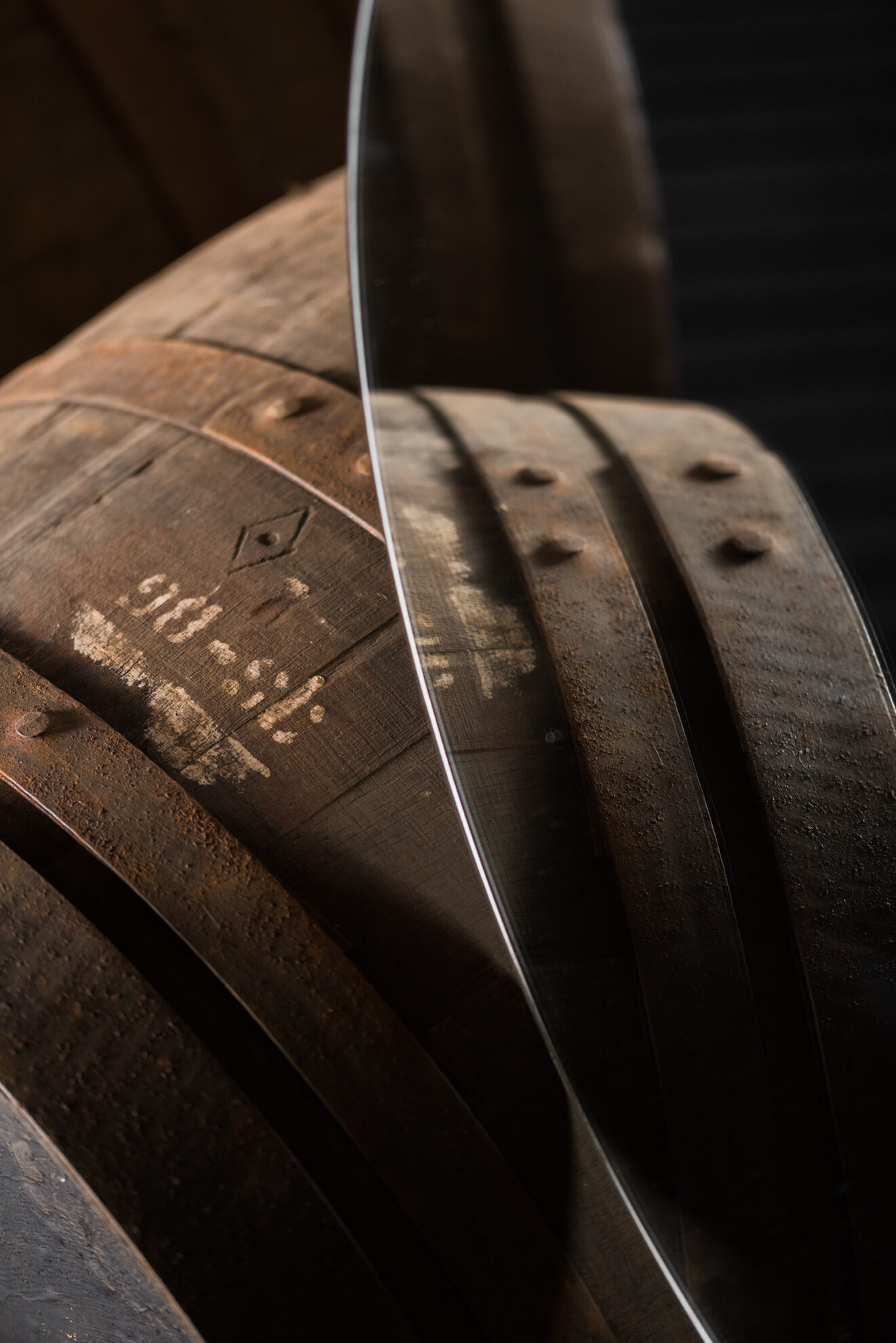 Cu Bocan - barrel reflection- lo res.jpg